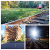 Milowice-Ojczyzna_01