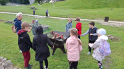 Ogrodzieniec2025_10