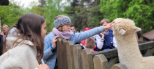 Podlesice_Zborow_003