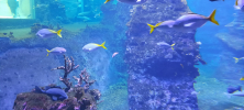 ZOO_Wroclaw_01