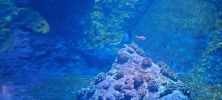 ZOO_Wroclaw_02