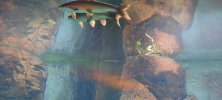 ZOO_Wroclaw_03