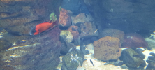 ZOO_Wroclaw_04