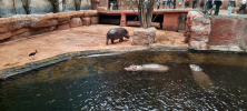 ZOO_Wroclaw_05