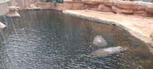 ZOO_Wroclaw_14