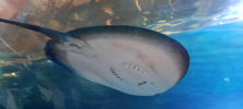 ZOO_Wroclaw_18