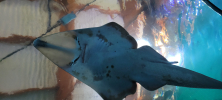 ZOO_Wroclaw_19