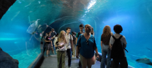 ZOO_Wroclaw_21