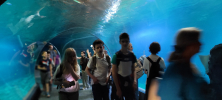 ZOO_Wroclaw_22