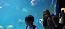ZOO_Wroclaw_23