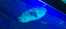 ZOO_Wroclaw_26