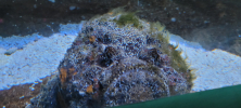 ZOO_Wroclaw_27