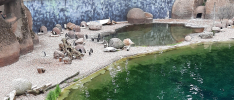ZOO_Wroclaw_31