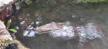 ZOO_Wroclaw_32