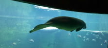 ZOO_Wroclaw_35
