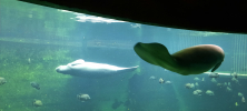 ZOO_Wroclaw_36