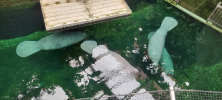 ZOO_Wroclaw_41