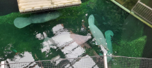 ZOO_Wroclaw_42