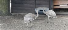 ZOO_Wroclaw_47