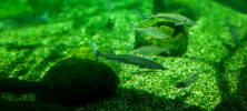 ZOO_Wroclaw_48