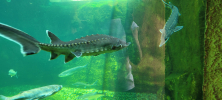 ZOO_Wroclaw_49