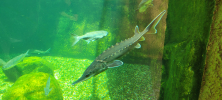 ZOO_Wroclaw_50