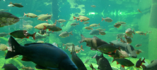ZOO_Wroclaw_51