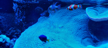 ZOO_Wroclaw_52