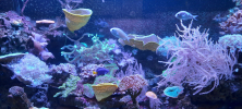 ZOO_Wroclaw_55