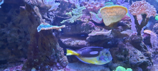 ZOO_Wroclaw_56