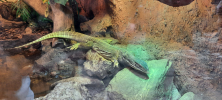 ZOO_Wroclaw_59