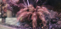 ZOO_Wroclaw_63