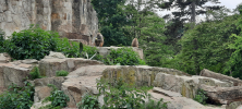 ZOO_Wroclaw_69